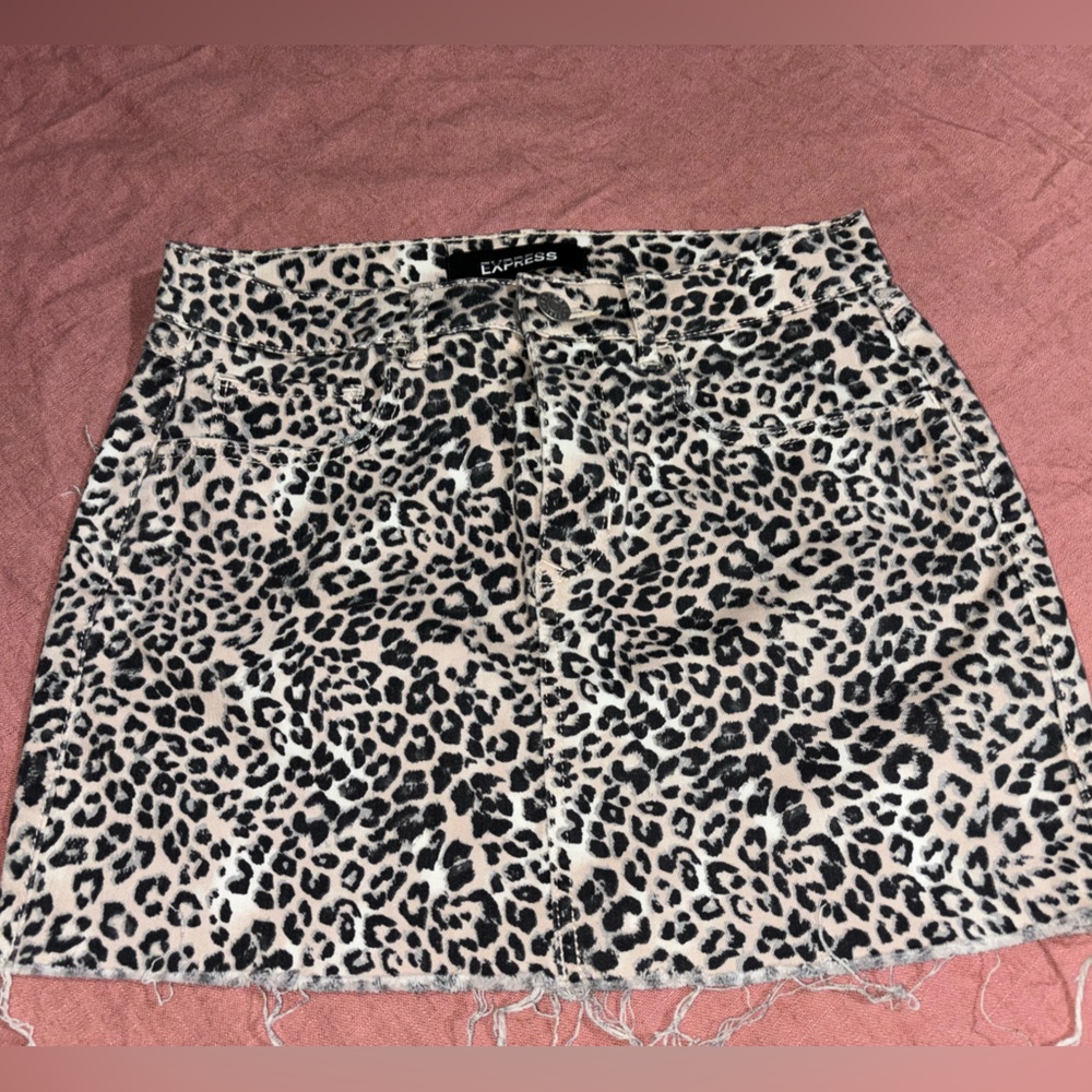 Express skirt